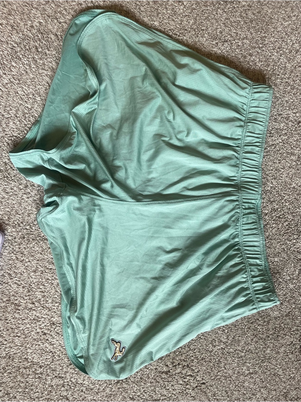 Mint Green tracksmith women’s van cortlandt shorts